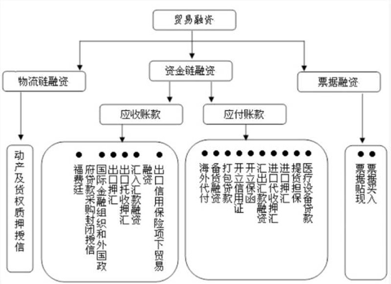 外贸新趋势：企业如何高效利用进口代理